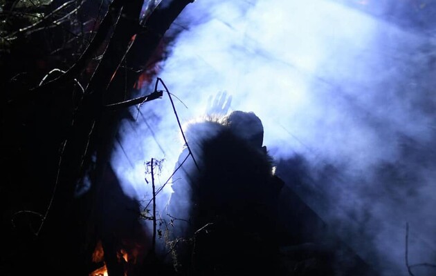 Білоруські прикордонники силою витісняють мігантів до кордонів ЄС