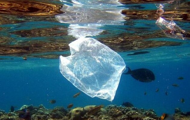 В Большом тихоокеанском мусорном пятне поселились морские организмы