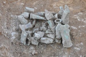 Девочка-подросток из Великобритании обнаружила древний клад с боевыми топорами