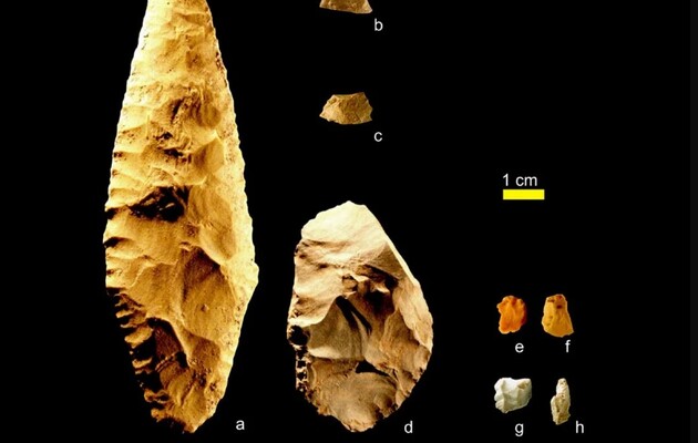 Ученые нашли древнейшие останки домашней собаки в Америке