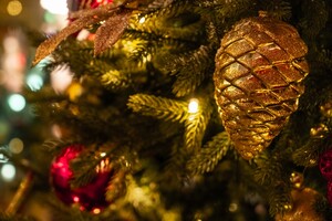 Искусственная или настоящая: ученые рассказали, какая новогодняя елка более экологична