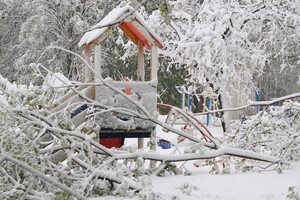 В Україні найближчими днями синоптики прогнозують снігопади та похолодання