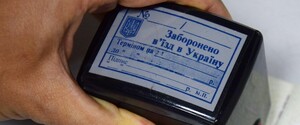 Пограничники завернули на границе известную российскую актрису