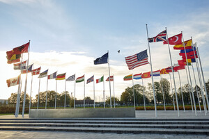 Міноборони Литви: «НАТО необхідно висунути Кремлю зустрічні вимоги»