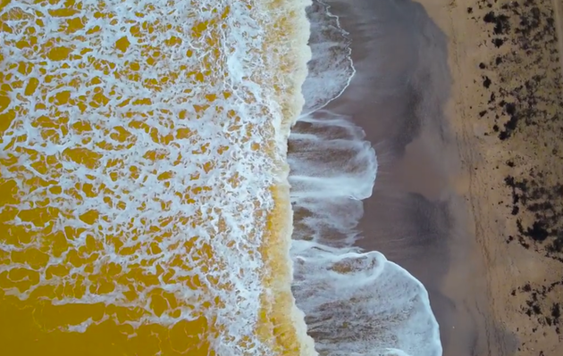 Черное море в Евпатории стало желтого цвета – видео