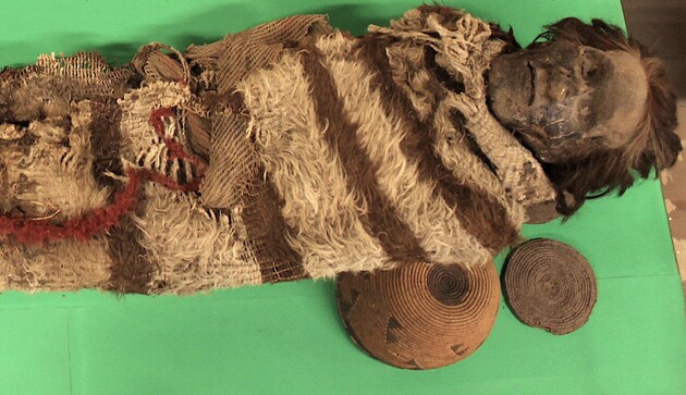 Яйца вшей на волосах мумий помогли уточнить историю Южной Америки