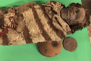 Яйца вшей на волосах мумий помогли уточнить историю Южной Америки