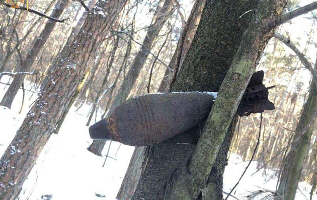 У Львівській області знайшли міну часів Другої світової війни, яка висіла на дереві – фото