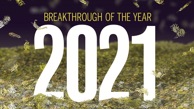 Вспоминаем 2021: главные научные открытия года