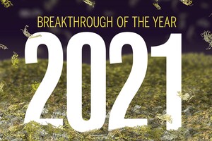 Згадуємо 2021: головні наукові відкриття року