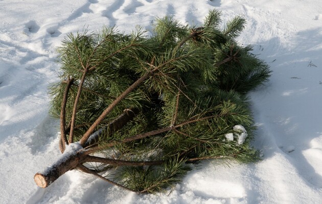 © Соцмережі