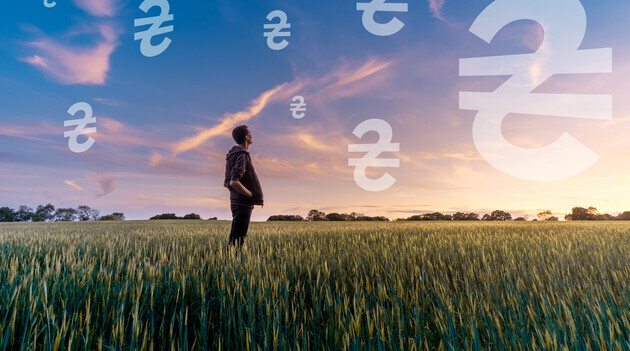 © Коллаж ZN.UA