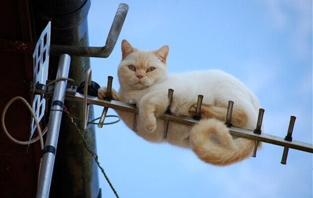 © Соцмережі