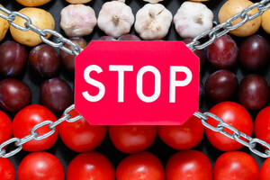 Тепличные помидоры и огурцы станут недоступными – прогноз цен на продукты от 