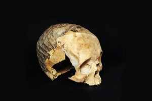 Ученые раскрыли тайну древних черепов, покрытых асфальтом