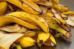 Ученые предложили получать топливо из банановой кожуры