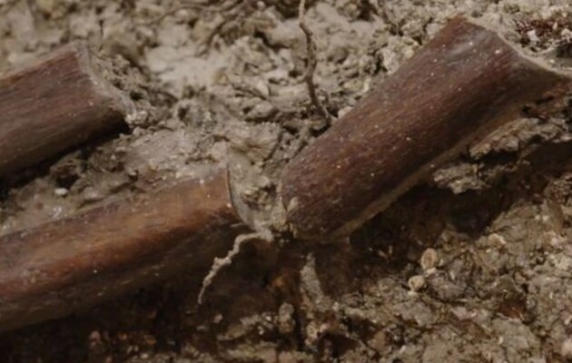 Под церковью возрастом 1000 лет в Британии нашли обезглавленный скелет