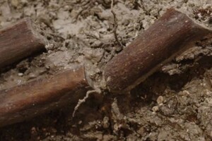 Під церквою віком 1000 років у Британії знайшли обезголовлений скелет