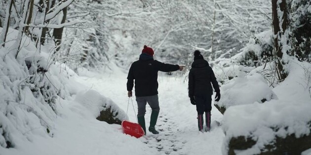В Україні на тлі потепління очікуються снігопади
