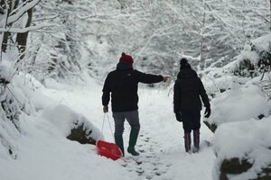 В Украине на фоне потепления ожидаются снегопады 