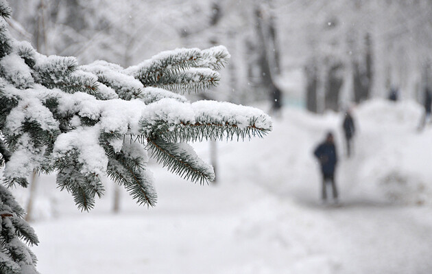 Снег и штормовой ветер ожидается в Украине каждый день до конца января