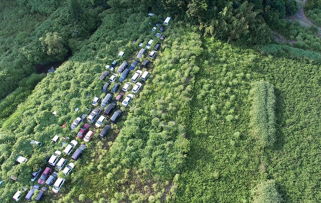 Японские деревья «сошли с ума» после аварии на «Фукусиме» – ученые