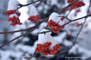 В Україні очікується плюсова температура та мокрий сніг