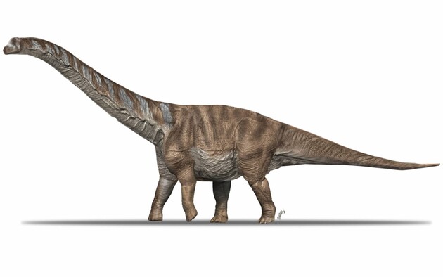 Вчені описали новий вид великого динозавра
