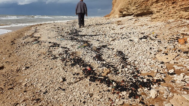 DW: Пластик и глобальное потепление — основные угрозы для Мирового океана