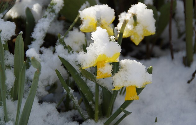 Весняна нестабільність: синоптикиня спрогнозувала мінливу погоду навесні