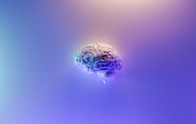 Вчені виявили у мозку «нейрони математики»