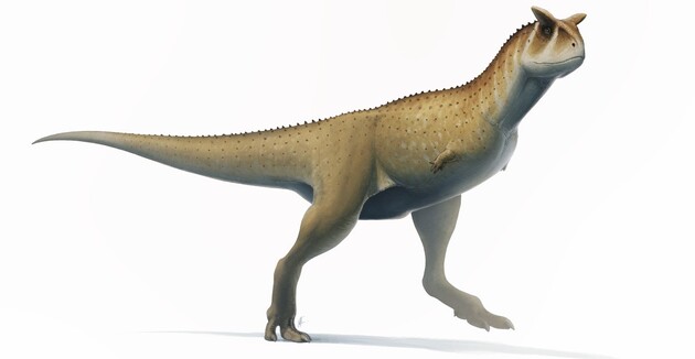 Палеонтологи виявили в Аргентині новий вид «безрукого» динозавра