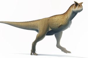 Палеонтологи виявили в Аргентині новий вид «безрукого» динозавра