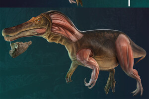 Палеонтологи знайшли у Португалії останки нового виду динозаврів