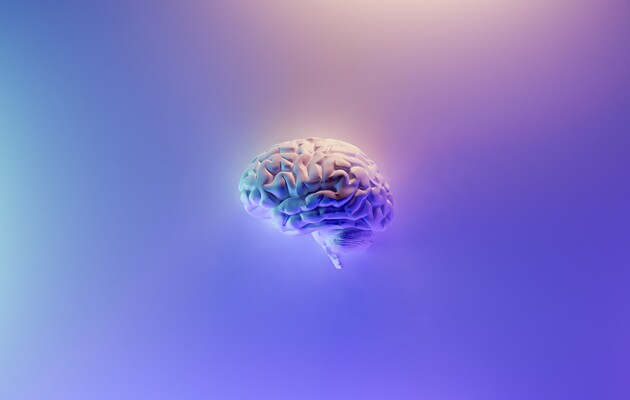 Вчені записали активність мозку у момент смерті