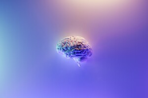 Ученые впервые записали активность умирающего мозга