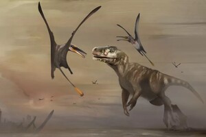 У Шотландії знайшли скам'янілості найбільшого птерозавра юрського періоду