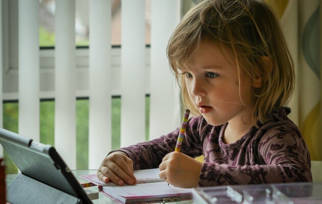 МОН закликало заклади освіти перейти на дистанційне навчання