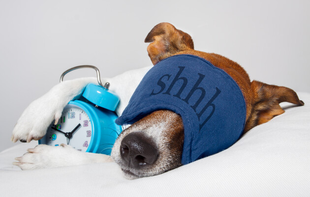 Несмотря на страх, нужно постараться поспать