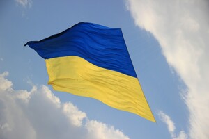 Украинцы собрали голоса для рассмотрения петиции к НАТО о закрытии неба