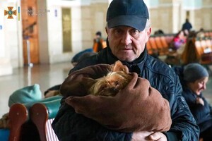 «Я не могу уехать, у меня кот»: как война изменила жизнь домашних животных и их хозяев