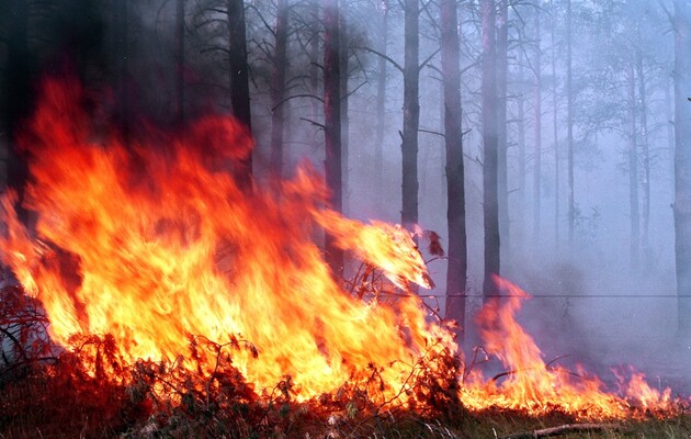 Пожежі в зоні ЧАЕС підвищують радіаційний фон, але загасити їх неможливо через російських окупантів - Держінспекція