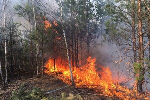 У Чорнобильській зоні відчуження горить понад 10 тисяч га лісу