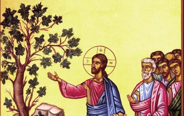 Считается, что Иисус проклял дерево инжира