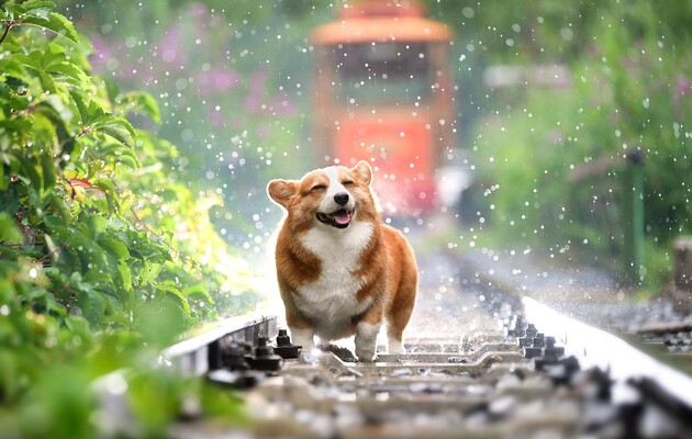 Температура в мае будет немного выше нормы