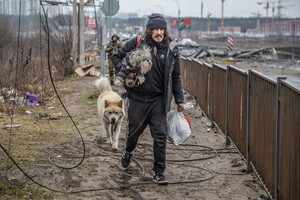 Вимушеним переселенцям в Україні безоплатно надаватимуть житло - Кабмін затвердив порядок