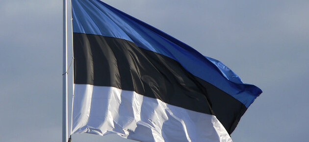 Эстония планирует помочь Украине восстановить Житомирскую область