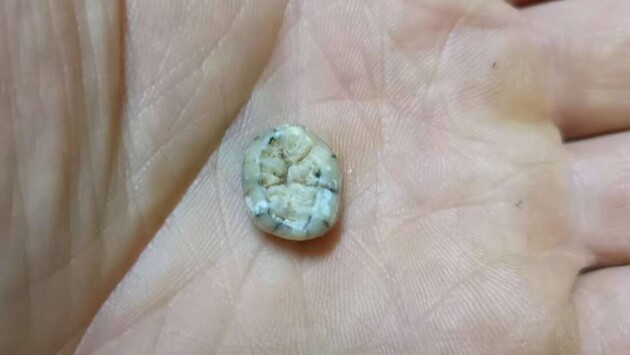 Зуб належав дівчинці-денисівцю