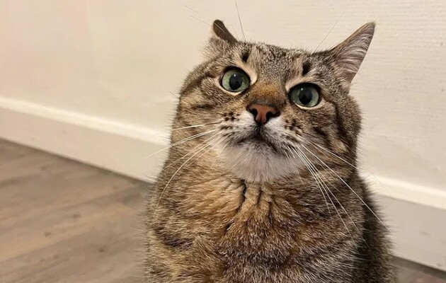 Степан получил награду World Influencers and Bloggers Awards