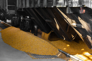 Повноцінно замінити експорт зерна сухопутним шляхом не вдасться, повідомляє британська розвідка